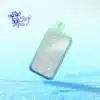 ELFBAR BC10000 SPECIAL EDITION Blueberry Mint — comprar en Argentina | Goat Vape