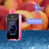 ELFBAR FS18000 PEACH ICE — comprar en Argentina | Goat Vape
