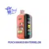 ELFBAR GH23000 Peach Mango Watermelon — comprar en Argentina | Goat Vape