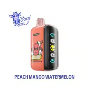ELFBAR GH23000 Peach Mango Watermelon