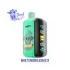 ELFBAR GH23000 Watermelon Ice — comprar en Argentina | Goat Vape