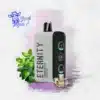 Fume Eternity 20000 puff Ice Mint