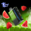 OXBAR Magic Maze 2.0 30K Puffs Strawberry Watermelon