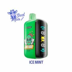 ELFBAR GH23000 Ice Mint — comprar en Argentina | Goat Vape