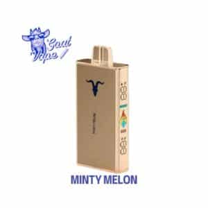 IGNITE V250 MINTY MELON