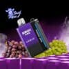OXBAR 30K Puffs Paradise Grape