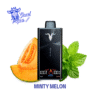 IGNITE V300 Minty Melon