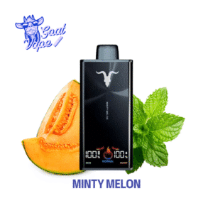 IGNITE V300 Minty Melon