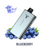 IGNITE V400 Blueberry