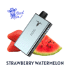 IGNITE V400 Strawberry Watermelon