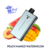 IGNITE V400 Peach Mango Watermelon — comprar en Argentina | Goat Vape