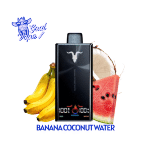 IGNITE V300 Banana Coconut Water